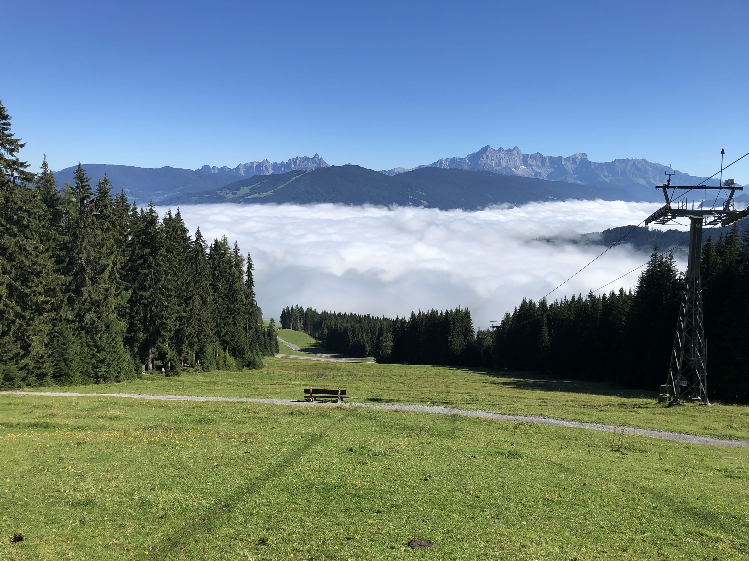 Sommerurlaub in Flachau im SalzburgerLand