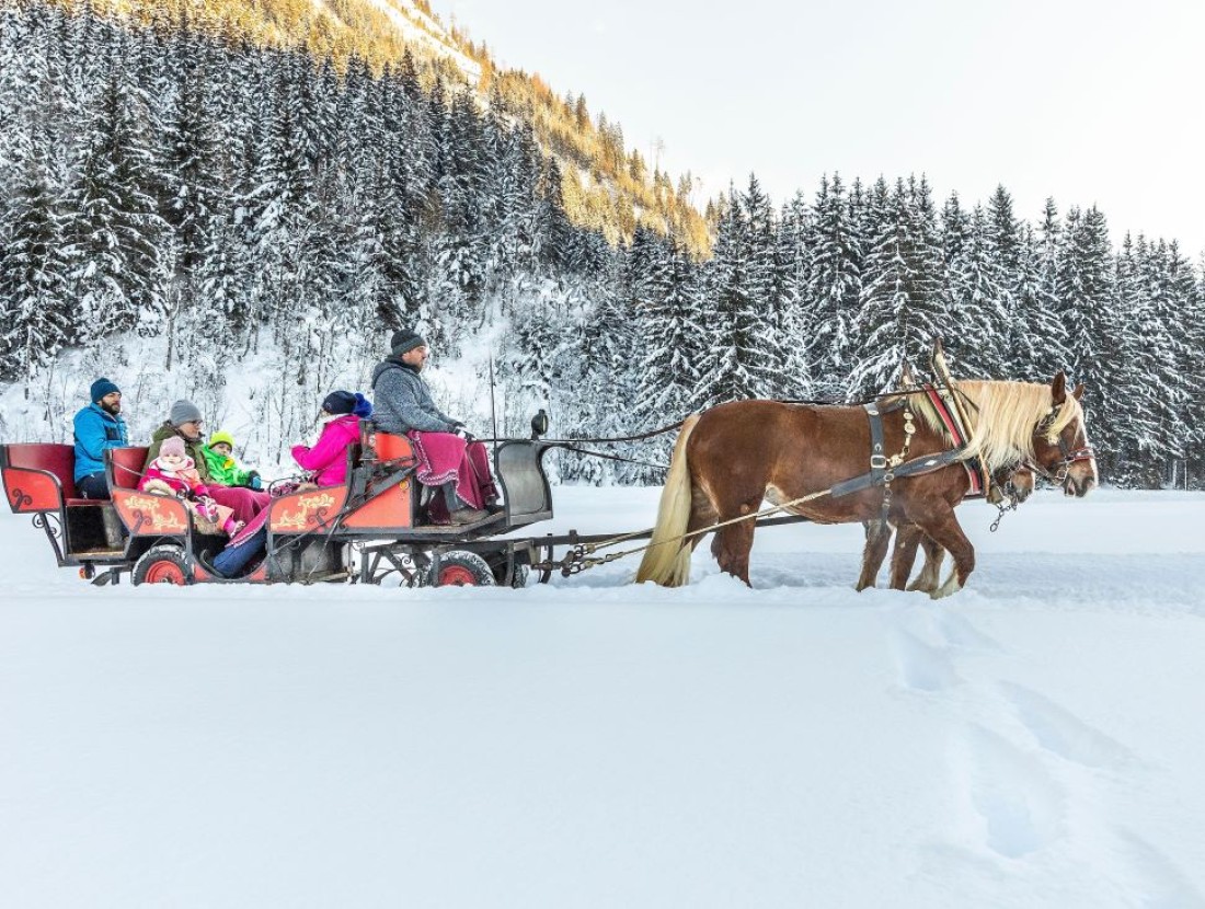 Langlaufen im Flachautal © Shutterstock